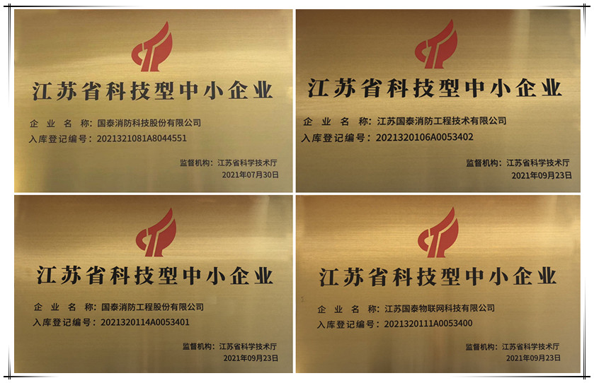 喜訊！國泰集團下屬多家公司獲“科技型中小企業”認定